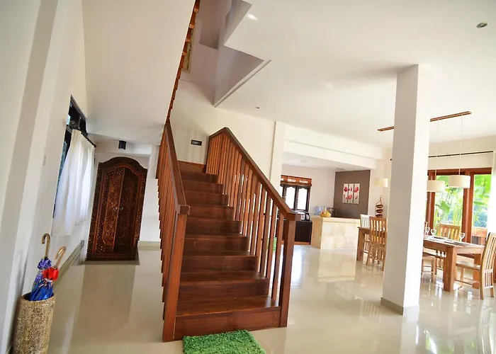 Daun Ubud