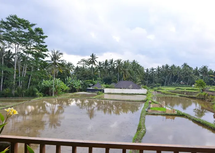 Gasthof Daun Ubud