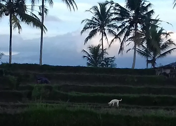Daun Gasthof Ubud